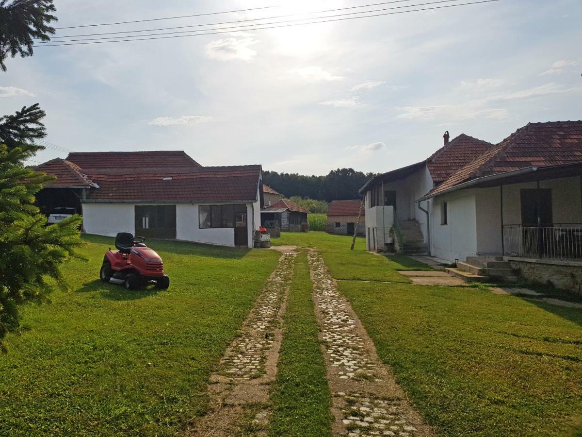 Green Apartments Kursumlija 외부 사진